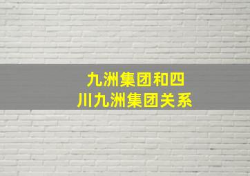 九洲集团和四川九洲集团关系