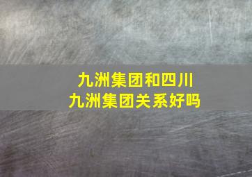 九洲集团和四川九洲集团关系好吗