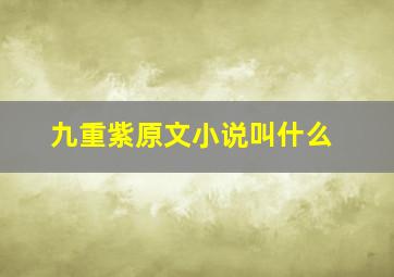 九重紫原文小说叫什么