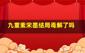 九重紫宋墨结局毒解了吗