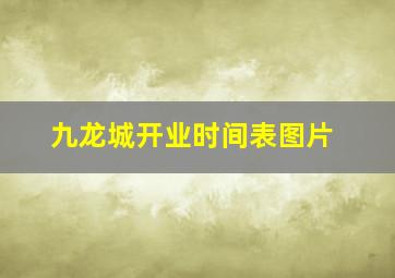 九龙城开业时间表图片