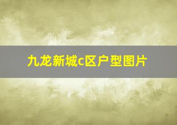 九龙新城c区户型图片