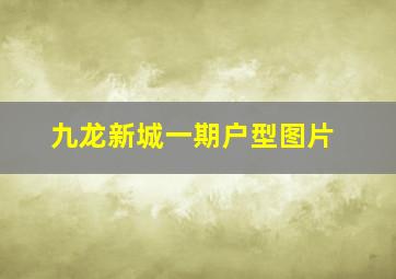 九龙新城一期户型图片