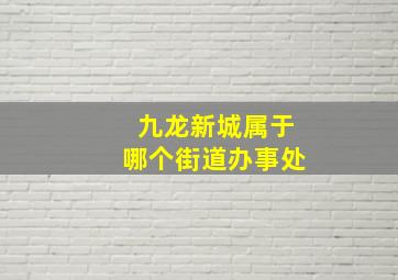 九龙新城属于哪个街道办事处