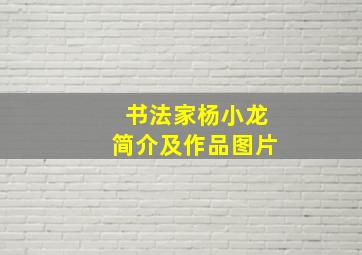 书法家杨小龙简介及作品图片