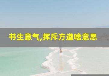 书生意气,挥斥方遒啥意思