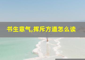 书生意气,挥斥方遒怎么读