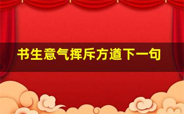 书生意气挥斥方遒下一句