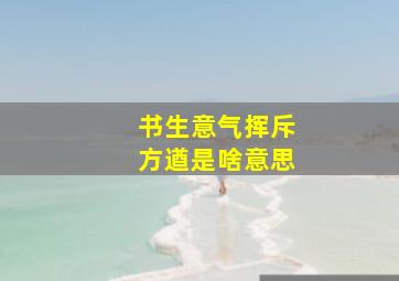 书生意气挥斥方遒是啥意思