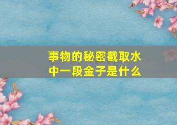 事物的秘密截取水中一段金子是什么