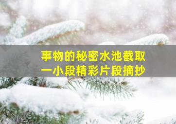 事物的秘密水池截取一小段精彩片段摘抄