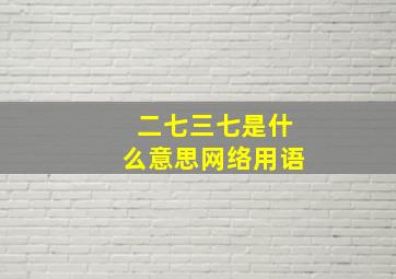 二七三七是什么意思网络用语