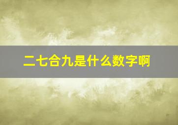 二七合九是什么数字啊