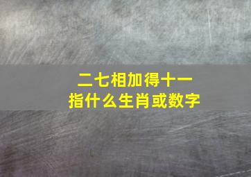 二七相加得十一指什么生肖或数字