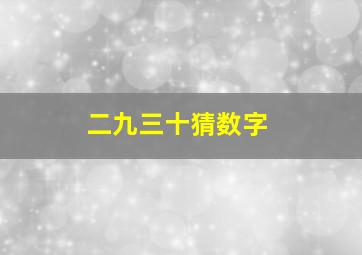 二九三十猜数字