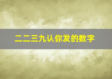 二二三九认你发的数字