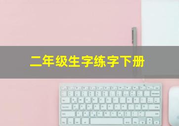 二年级生字练字下册