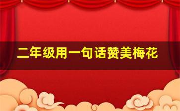 二年级用一句话赞美梅花