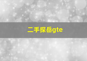 二手探岳gte