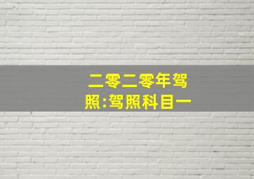 二零二零年驾照:驾照科目一