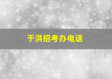 于洪招考办电话