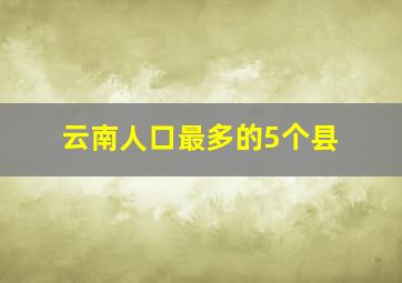 云南人口最多的5个县