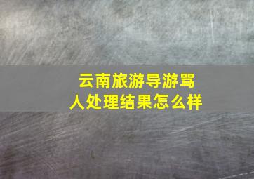 云南旅游导游骂人处理结果怎么样