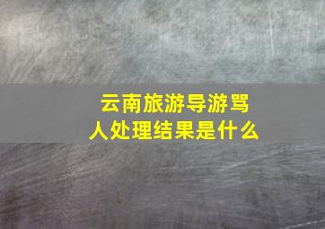 云南旅游导游骂人处理结果是什么