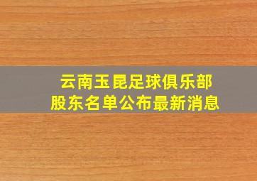 云南玉昆足球俱乐部股东名单公布最新消息