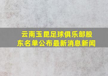 云南玉昆足球俱乐部股东名单公布最新消息新闻