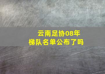 云南足协08年梯队名单公布了吗