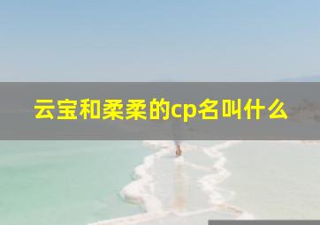 云宝和柔柔的cp名叫什么