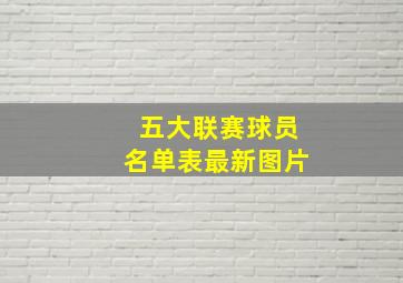 五大联赛球员名单表最新图片