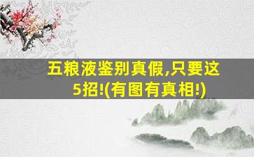 五粮液鉴别真假,只要这5招!(有图有真相!)