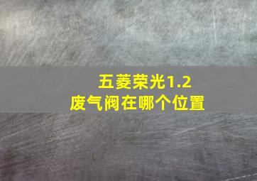 五菱荣光1.2废气阀在哪个位置