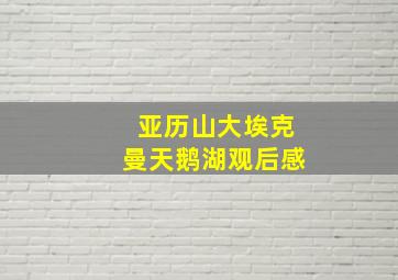 亚历山大埃克曼天鹅湖观后感