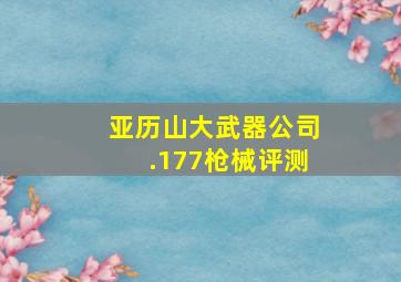 亚历山大武器公司.177枪械评测