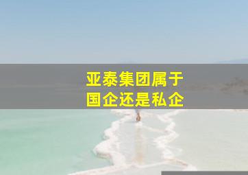 亚泰集团属于国企还是私企