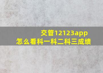 交管12123app怎么看科一科二科三成绩