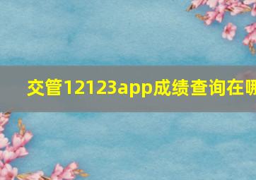 交管12123app成绩查询在哪