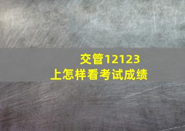 交管12123上怎样看考试成绩