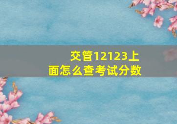 交管12123上面怎么查考试分数