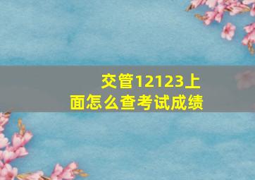 交管12123上面怎么查考试成绩