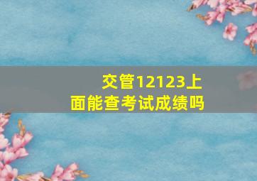 交管12123上面能查考试成绩吗