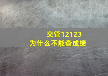 交管12123为什么不能查成绩