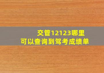 交管12123哪里可以查询到驾考成绩单