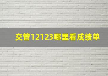 交管12123哪里看成绩单