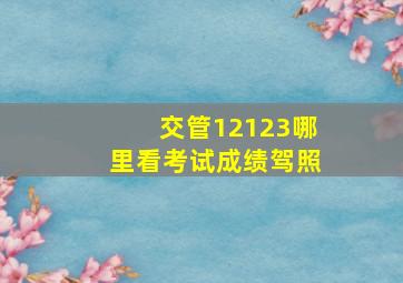 交管12123哪里看考试成绩驾照