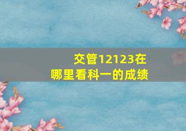 交管12123在哪里看科一的成绩