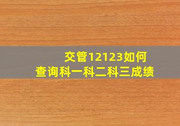 交管12123如何查询科一科二科三成绩